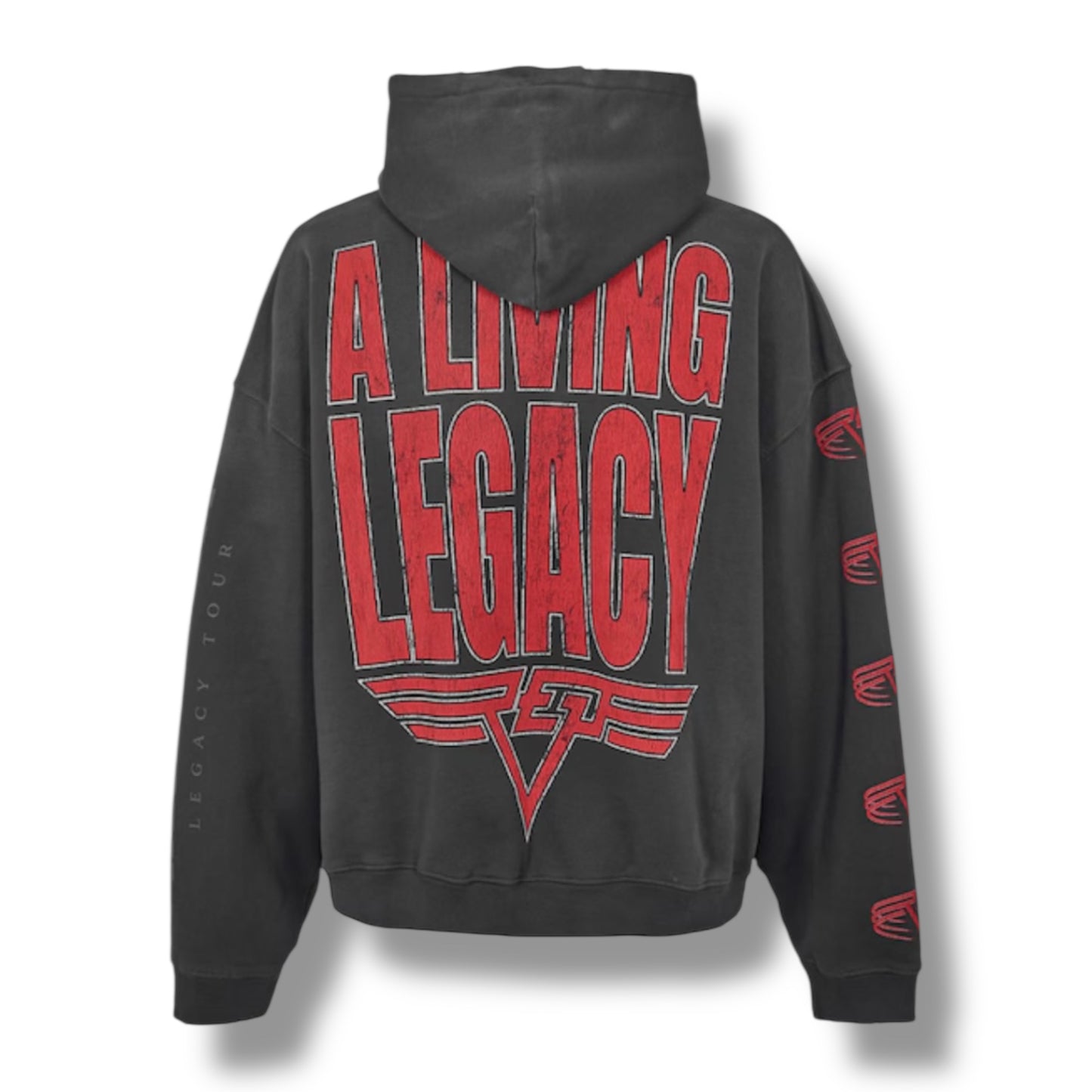 REPRESENT LIVING LEGACY OTTH HOODIE WASHED GREY