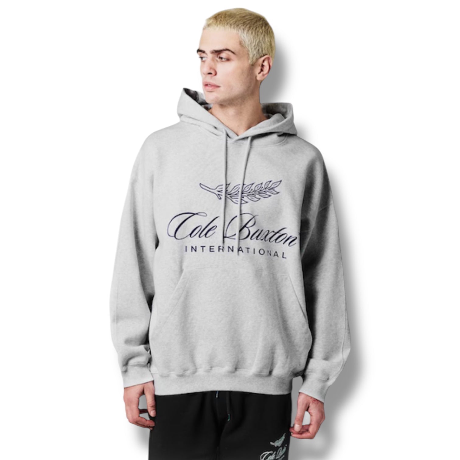 COLE BUXTON INTER FRONT LOGO OTTH HOODIE GREY