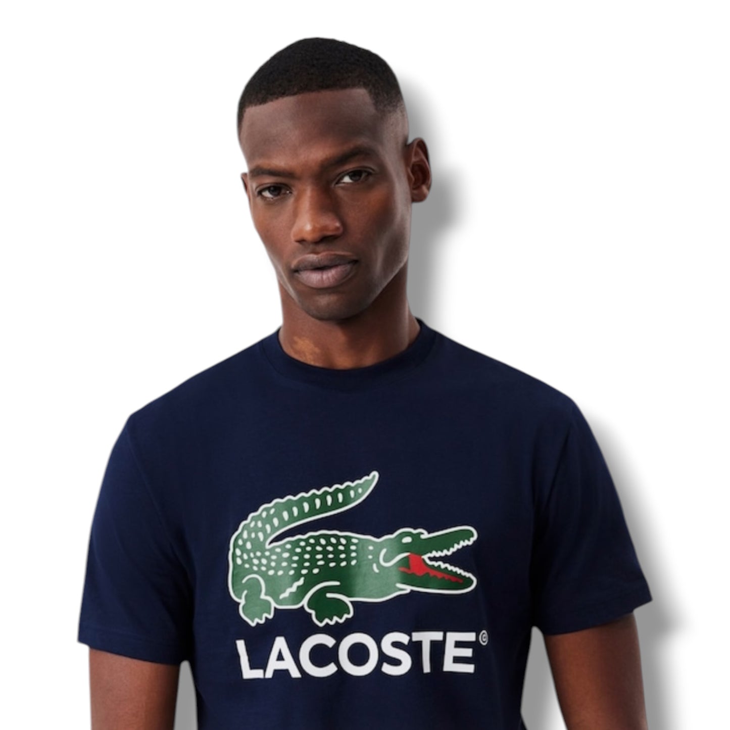 LACOSTE LARGE LOGO T-SHIRT & JERSEY SHORTS SET NAVY & GREEN