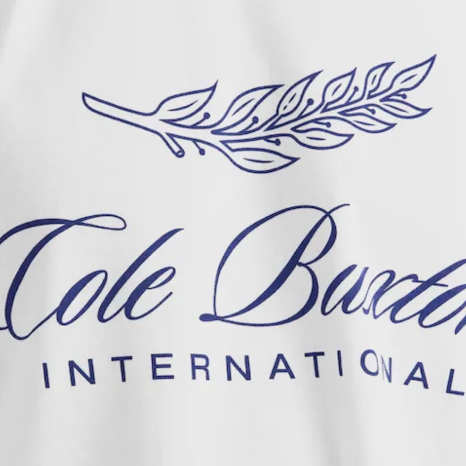 COLE BUXTON INTER FRONT LOGO T-SHIRT WHITE