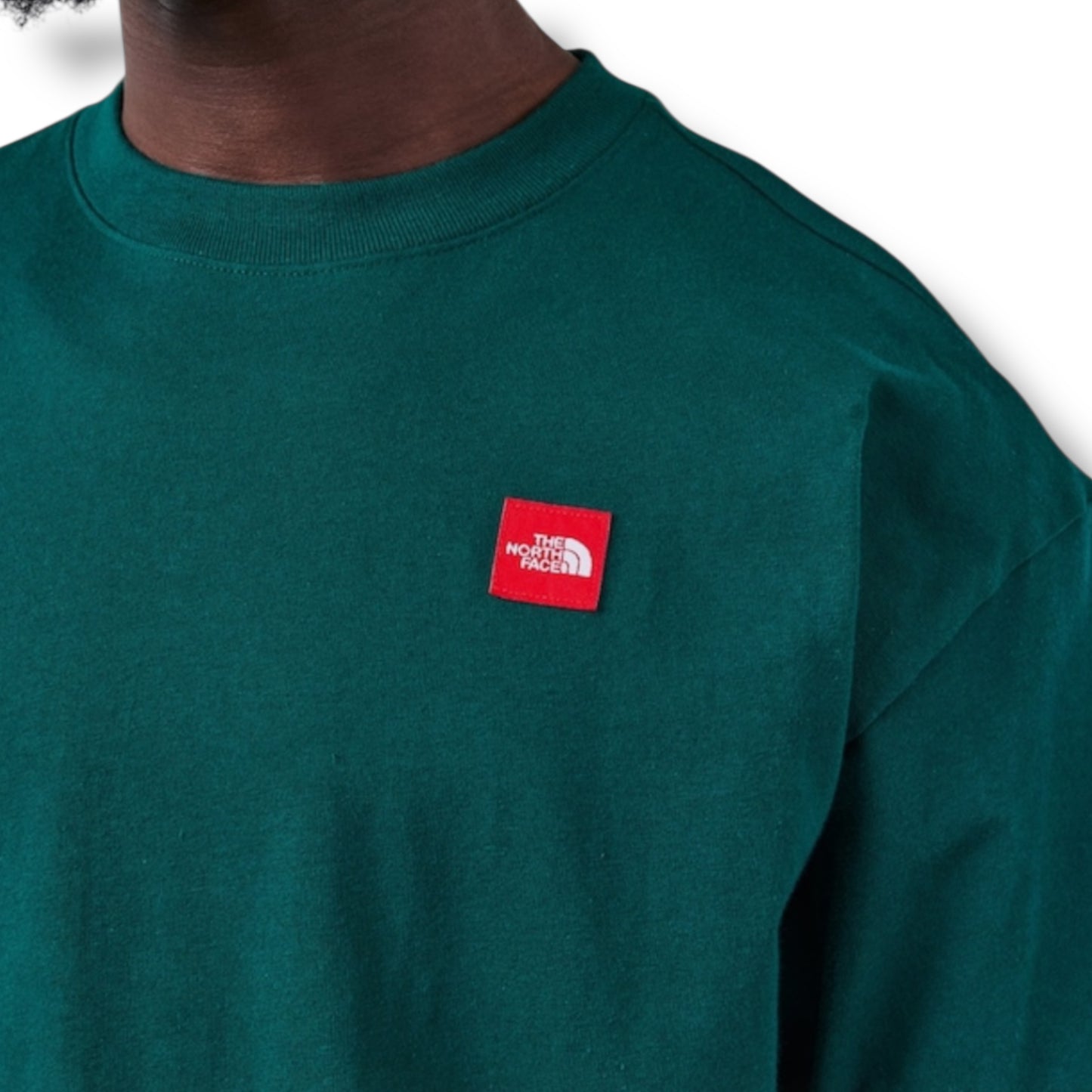 THE NORTH FACE TNF RED BOX T-SHIRT & NYLON SHORTS SET GREEN & BLACK