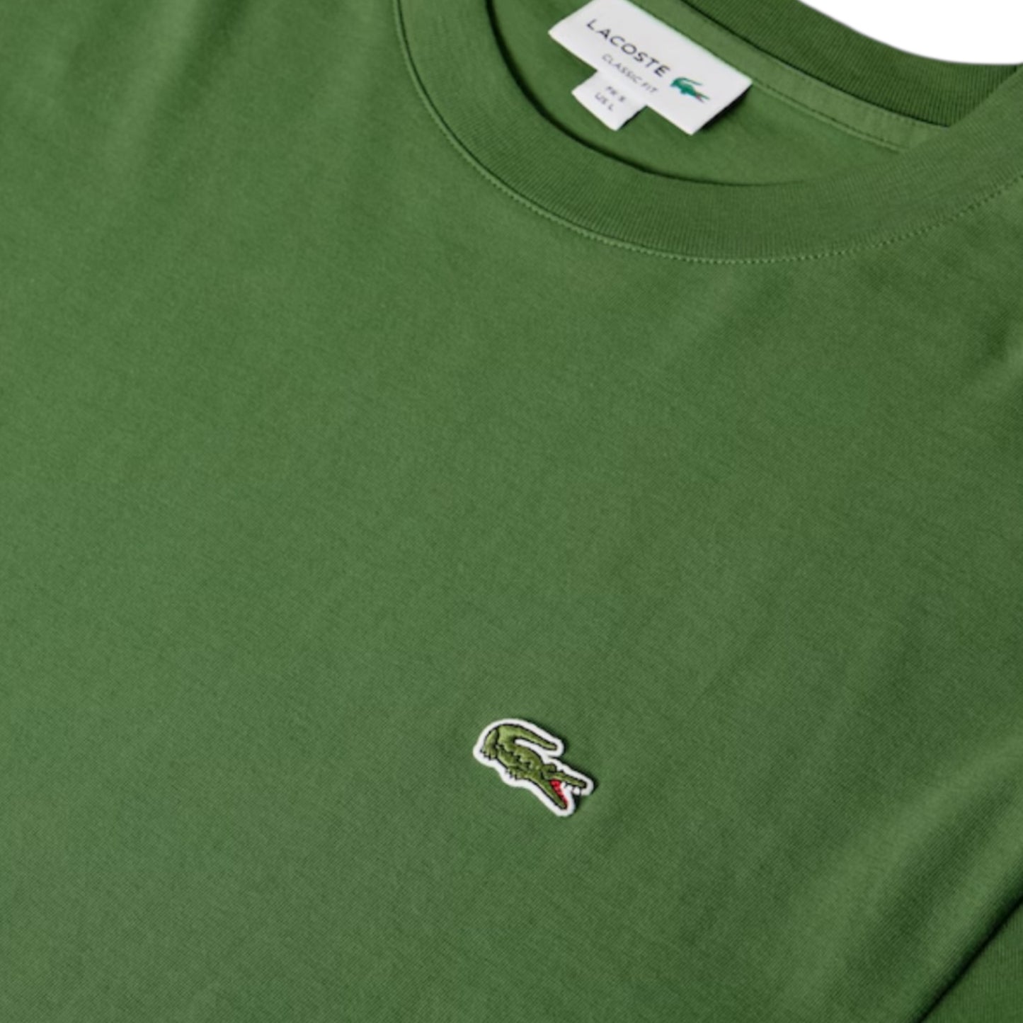 LACOSTE SMALL LOGO T-SHIRT & SWIM SHORTS SET GREEN